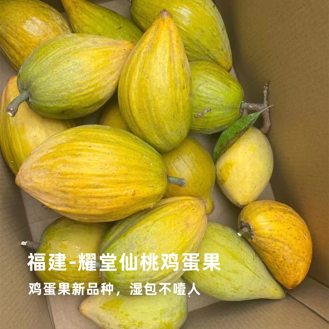 【顺丰包邮】福建耀堂鸡蛋果湿包稀有鸡蛋果改良品种木瓜仙桃5斤