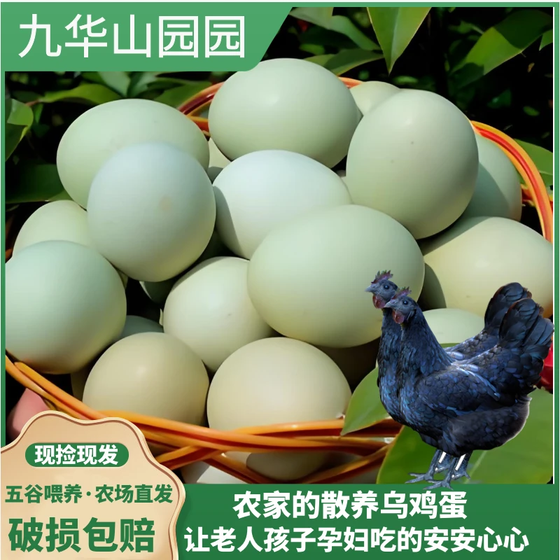 （梅子专属）九华山农家散养土鸡乌鸡蛋无抗新鲜现捡现发