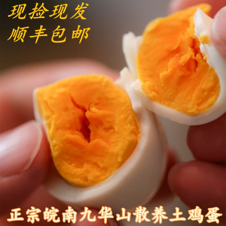 九华山散养土鸡蛋  顺丰包邮10枚