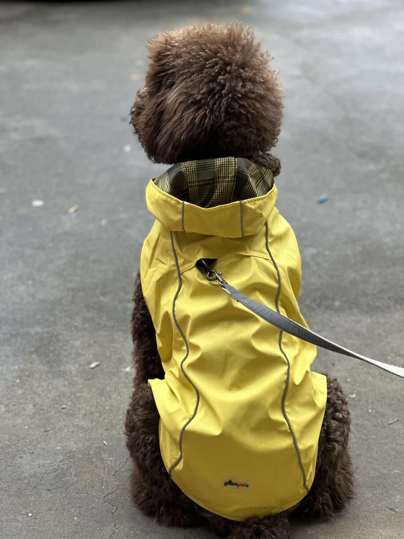 外贸宠物衣服，默认微瑕，备注编码