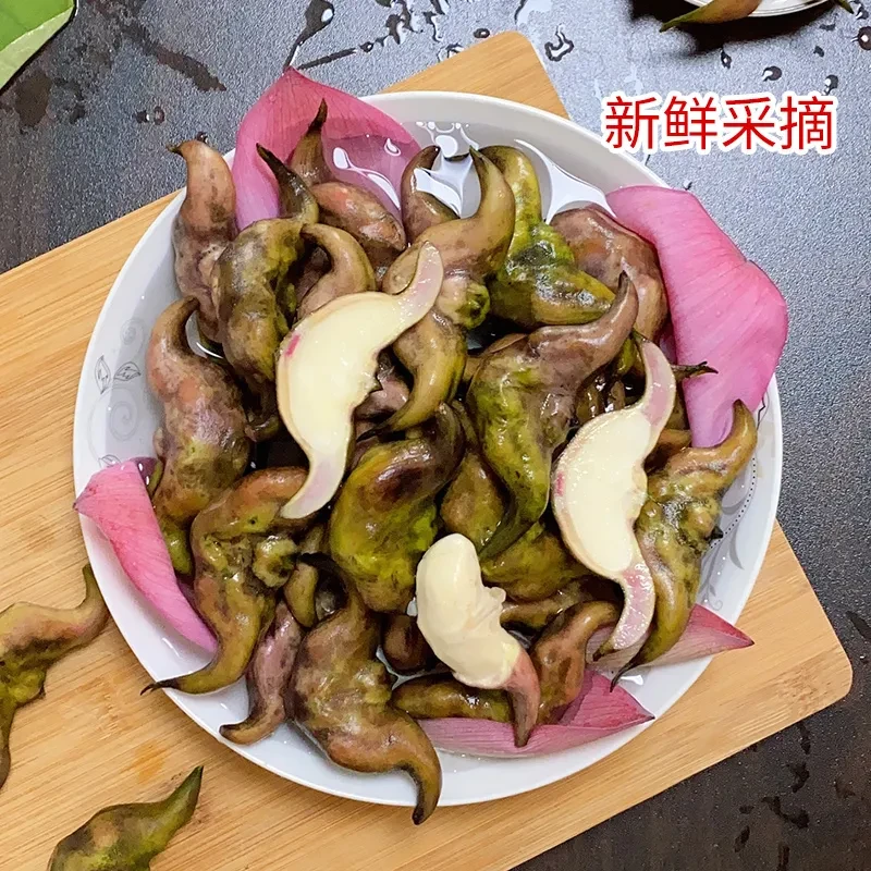 湖北新鲜老菱角水果菱角脆甜粉嫩黑菱角洪湖凌角当季蔬菜便宜批发