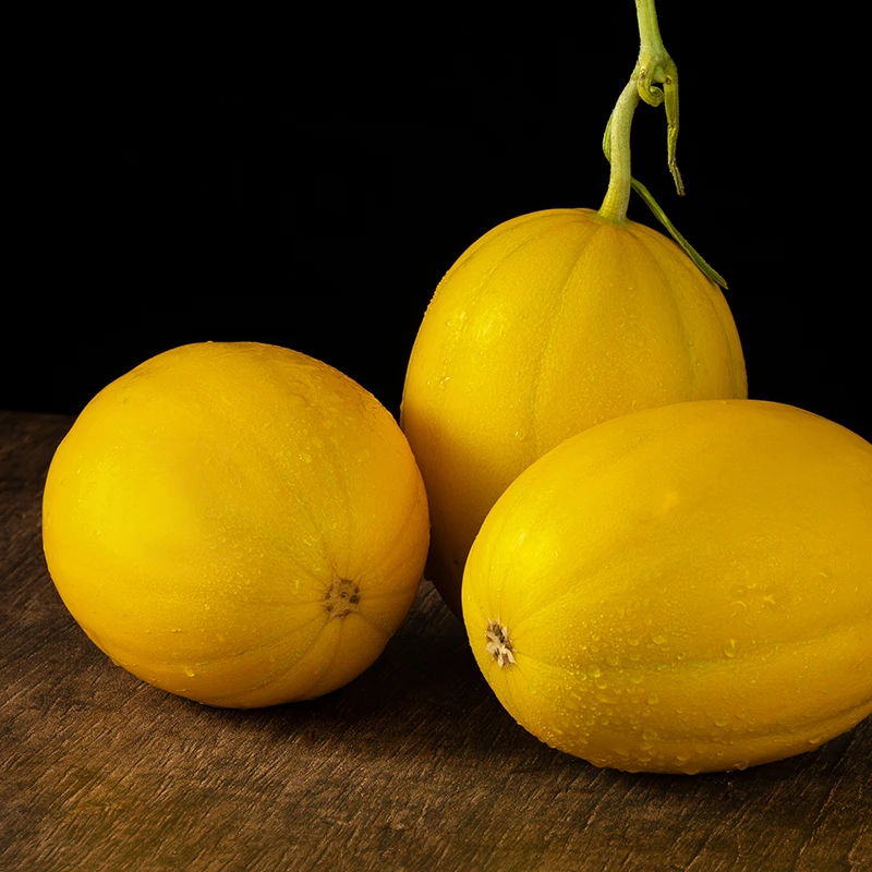 牛奶蜜瓜2-3枚4.5-5斤新鲜采摘果皮金黄果肉奶白香甜爽脆鲜嫩多汁