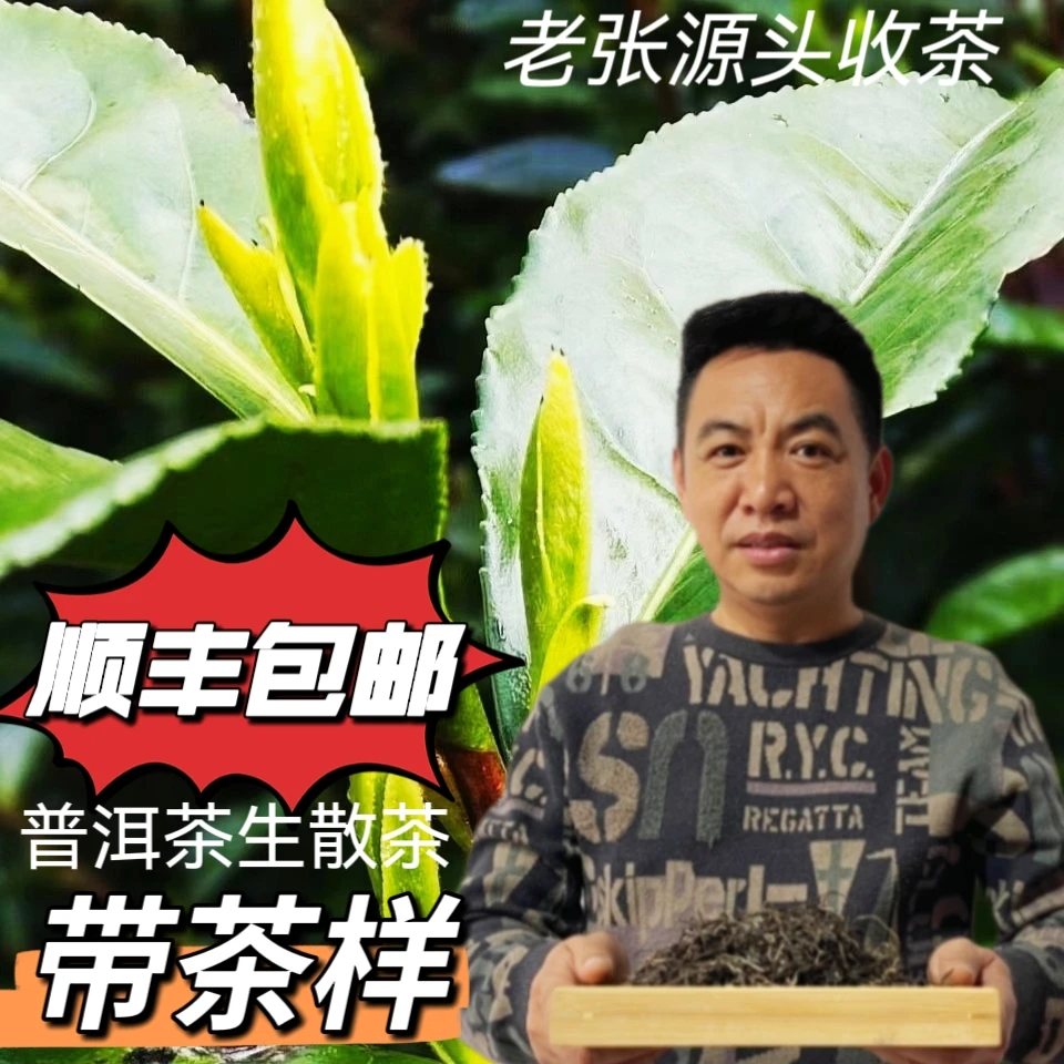 茶农423号2022年懂过大树生茶 100g散茶 带茶样 树龄200多年