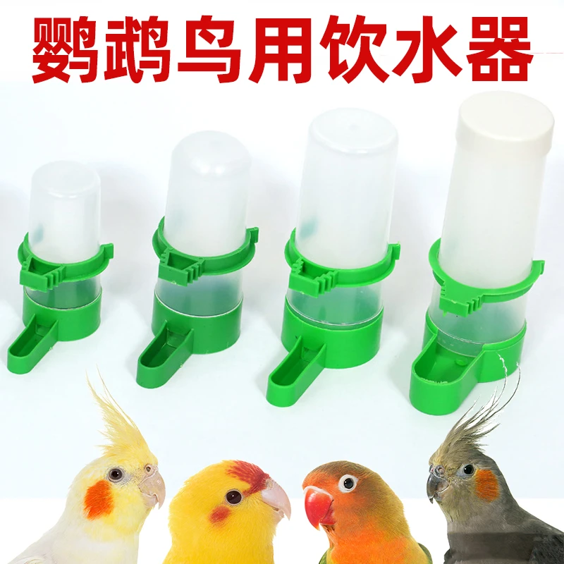 鹦鹉专用饮水器鸟用喂水器自动喝水下料器芦丁鸡玄凤喂食器盒