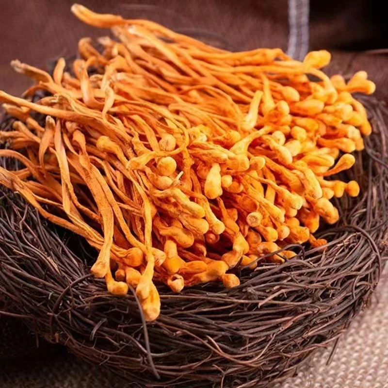 【阿源】特产干货虫草花虫蛹菌煲汤炒肉包邮