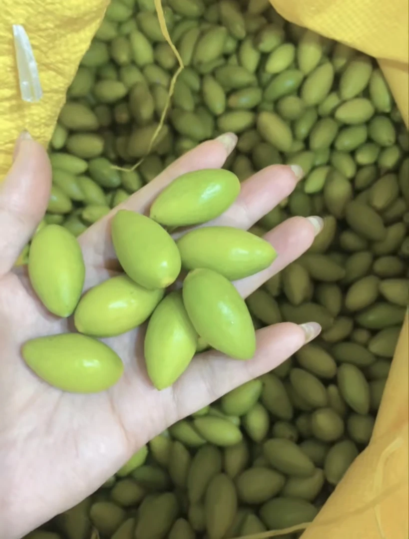 雅货青皮橄榄500g