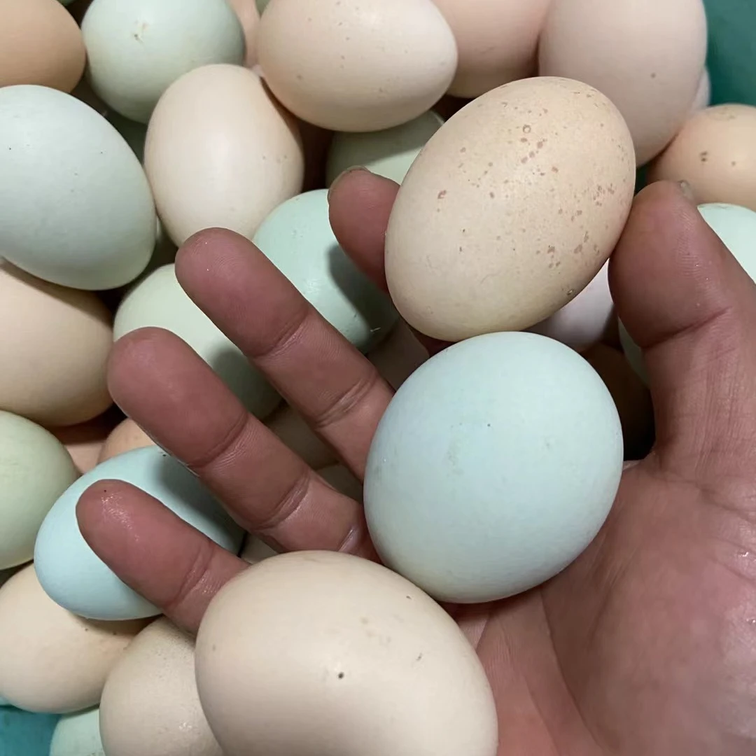 正宗皖南散养土鸡蛋新鲜草鸡蛋
