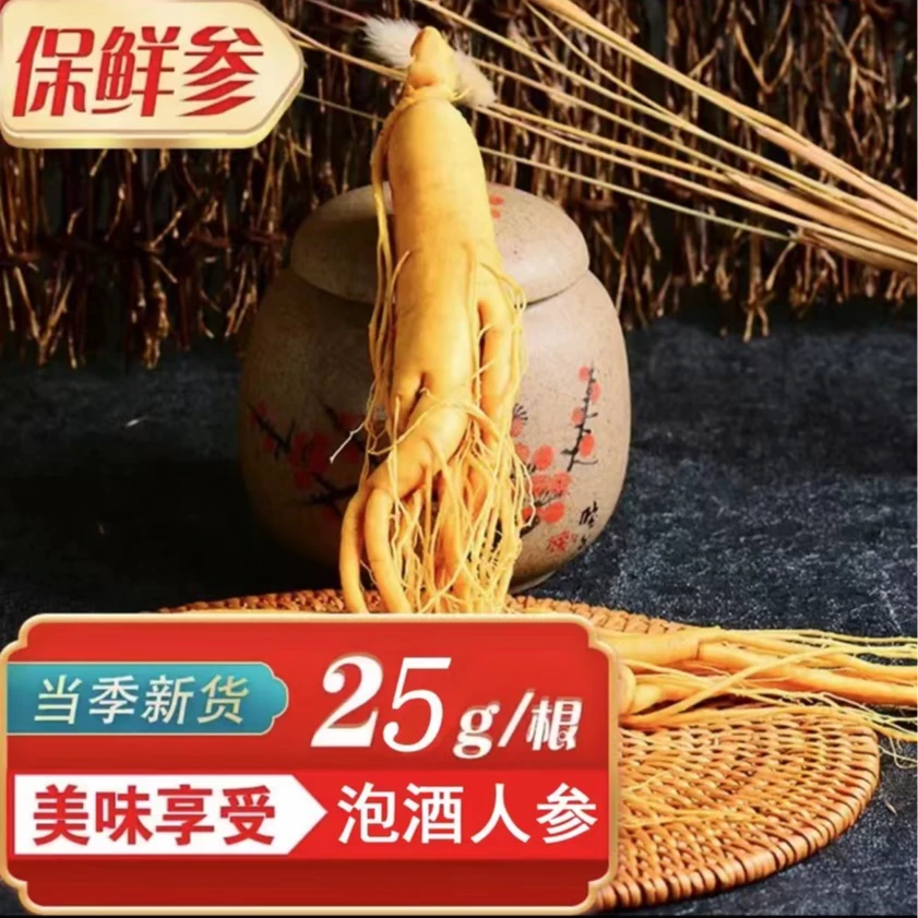 长白山泡酒保鲜参25克/根免洗新鲜人参东北特产独立包装园参专用