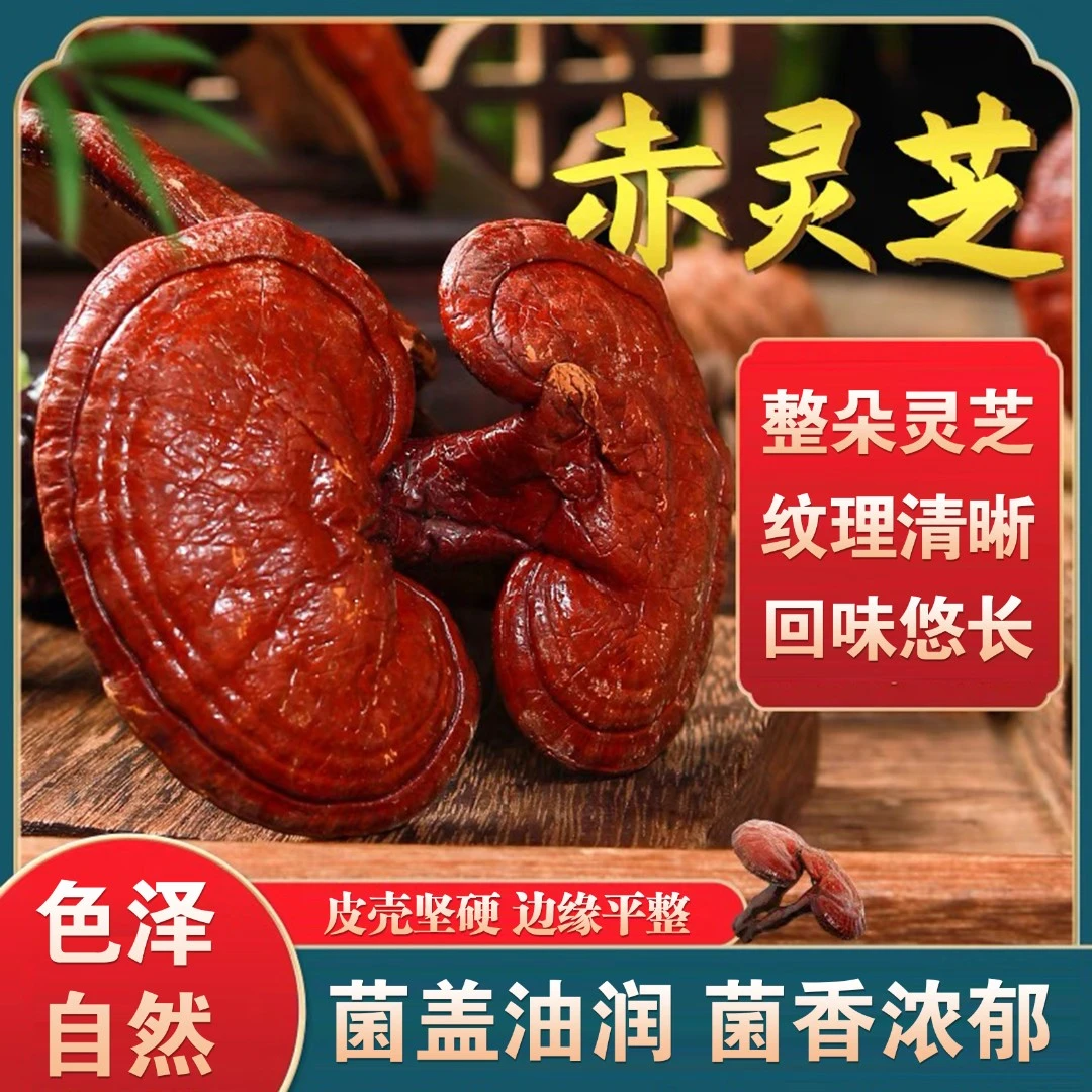长白山赤灵芝250克装红灵芝整枝干货免洗泡酒专用东北特产
