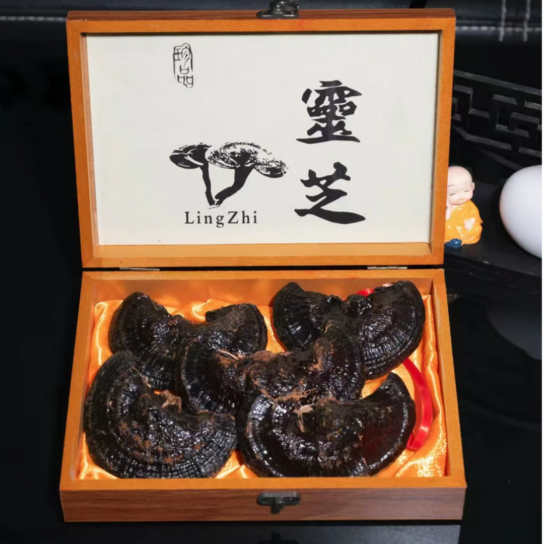 长白山黑灵芝礼盒5朵/盒送礼推荐东北特产吉林发货送人自用