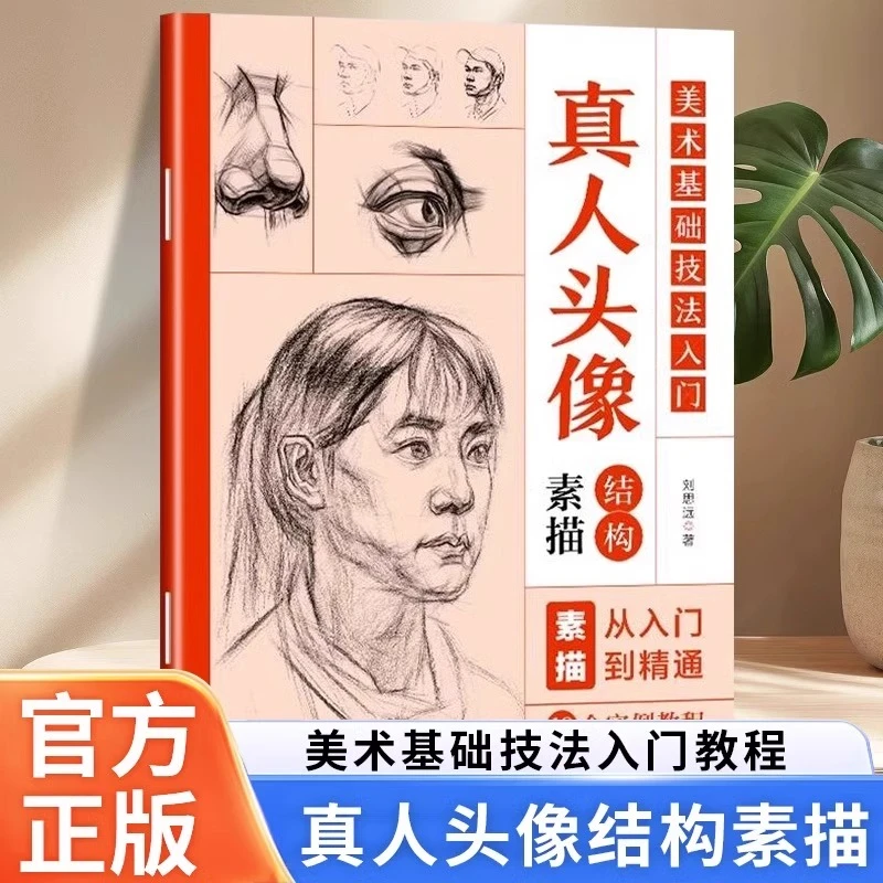 真人头像结构素描美术基础技法入门零基础自学素描从入门到精通
