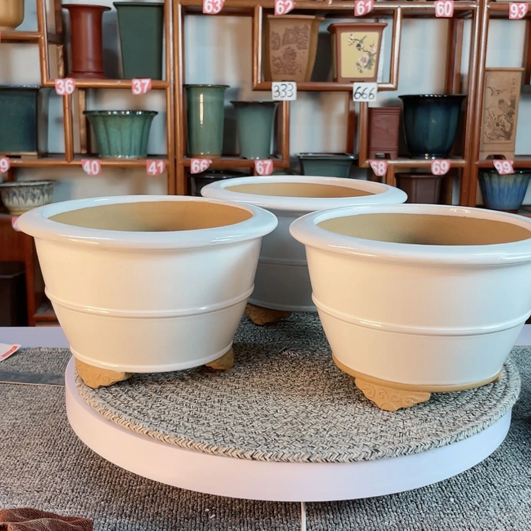 【闪购商品】紫砂花盆兰***开瑕