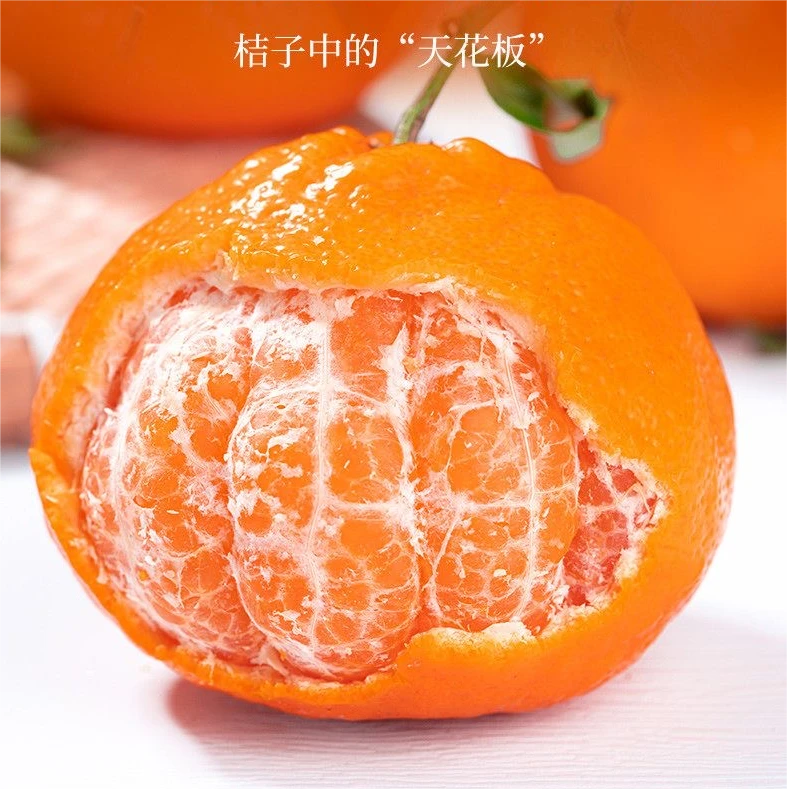 2寒冷/正宗眉山春见耙耙柑4.5-8斤甄选皮薄多汁果粒甜蜜脆嫩爽口