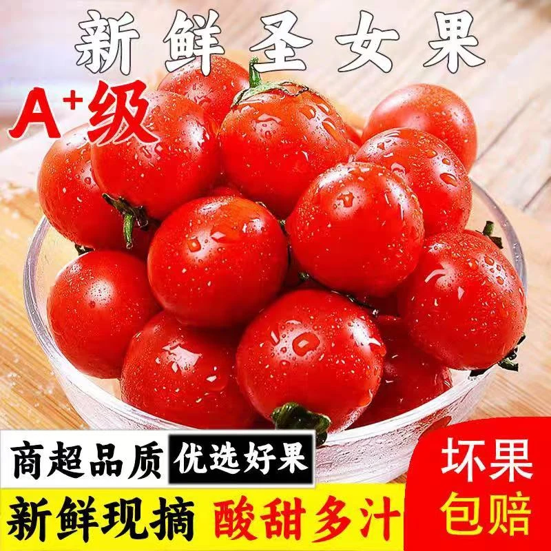 X【现摘现发】当季新鲜圣女果买3斤送2斤整箱5斤千禧果脆甜小番茄