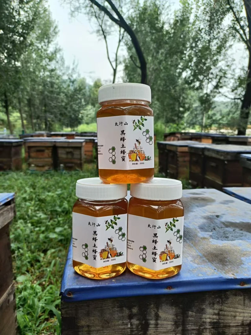 太行山黑蜂土蜂蜜500克/瓶（拍一发三）枣花蜜