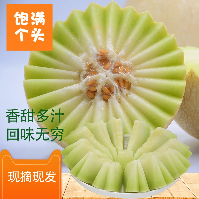 民勤蜜瓜银蒂玉菇金红宝甜瓜新鲜水果香甜2颗装4颗装