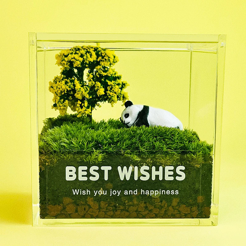 私人草坪苔藓微景观室内生态瓶桌面迷你青苔盆栽小绿植摆件办公室