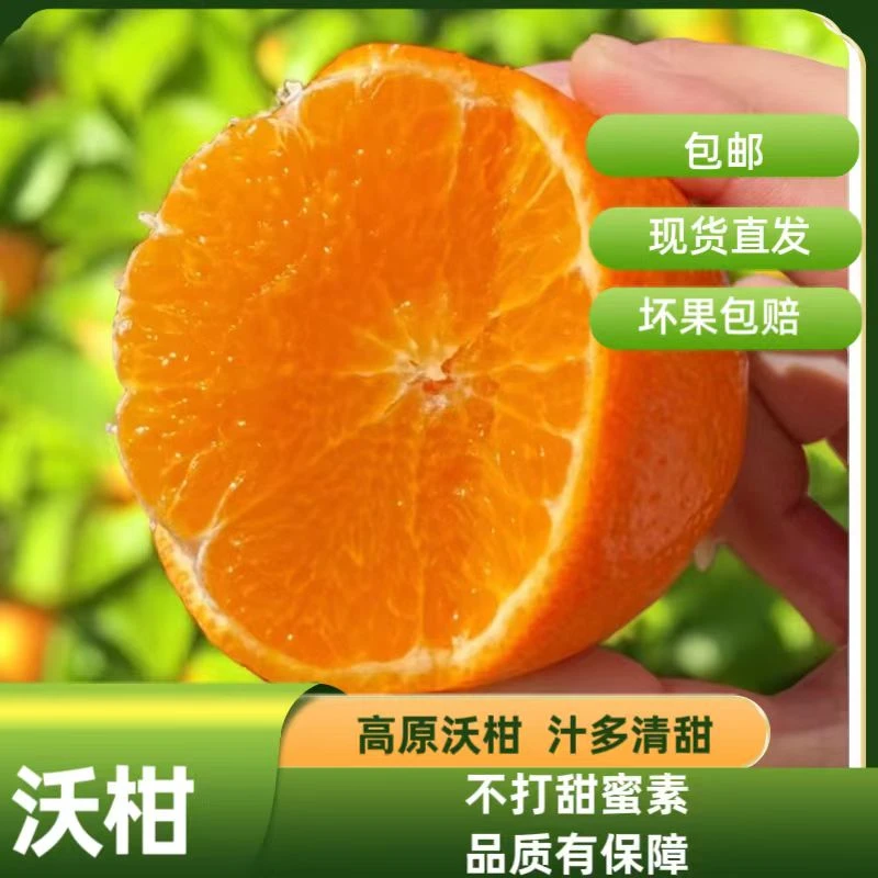 云南高原生态沃柑新鲜甘甜