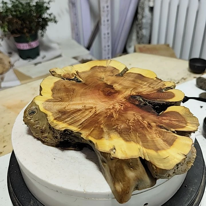 【闪购商品】木头慢**待