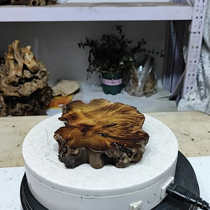 【闪购商品】木头用****3