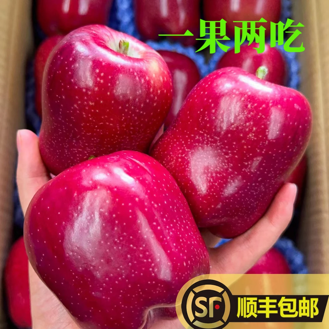 【甘肃天水花牛苹果】新鲜头茬花牛苹果5斤8斤装脆甜粉面多汁蛇果