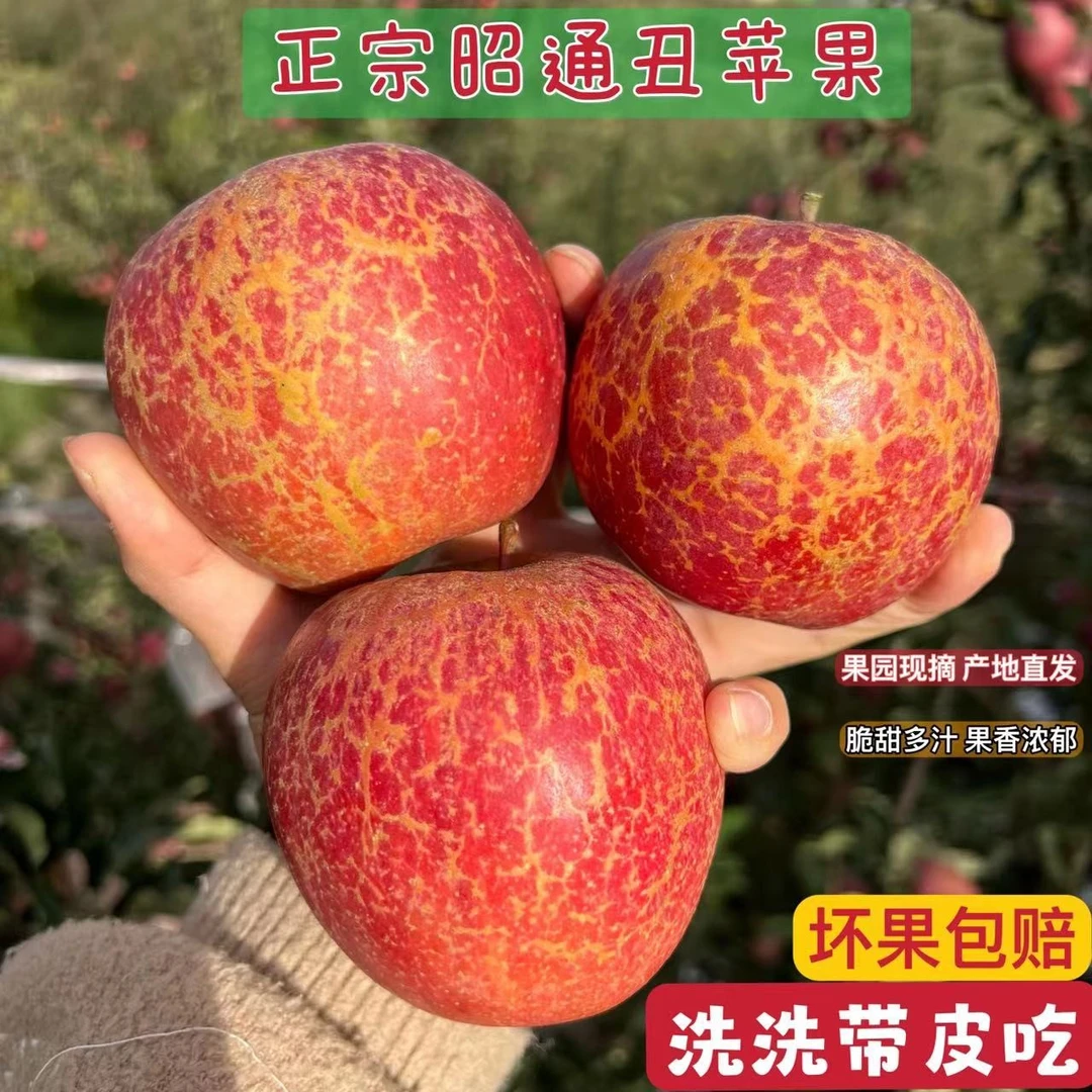 正宗云南昭通新鲜冰糖心丑苹果原产地现摘脆甜好吃营养多汁肉厚