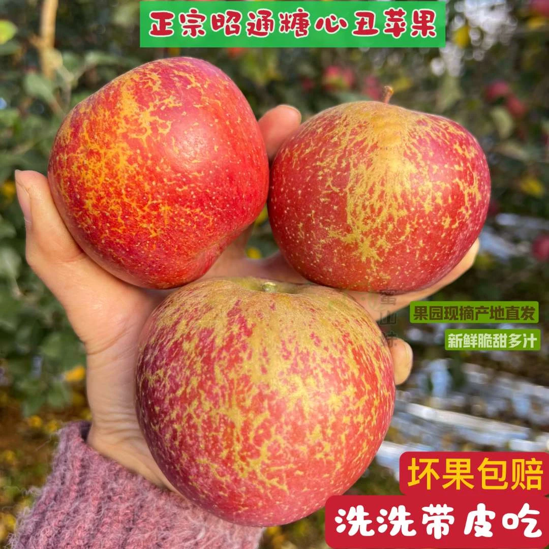 云南昭通苹果冰糖心好吃新鲜农家自然成熟现摘脆甜多汁快递发货