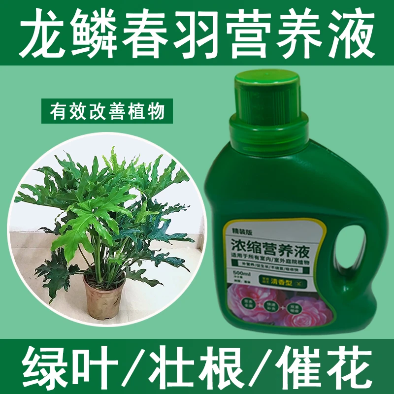 龙鳞春羽营养液通用型龙鳞春羽专用营养液花肥绿植水培植物肥料