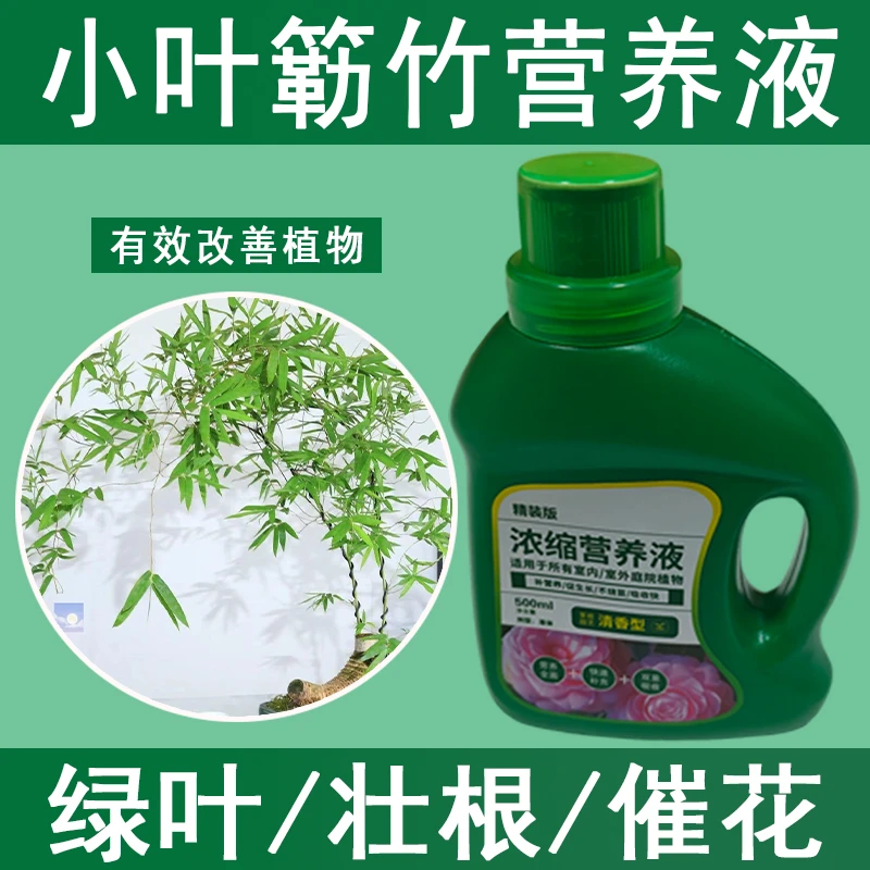 小叶簕竹营养液通用型小叶簕竹专用营养液花肥绿植水培植物肥料