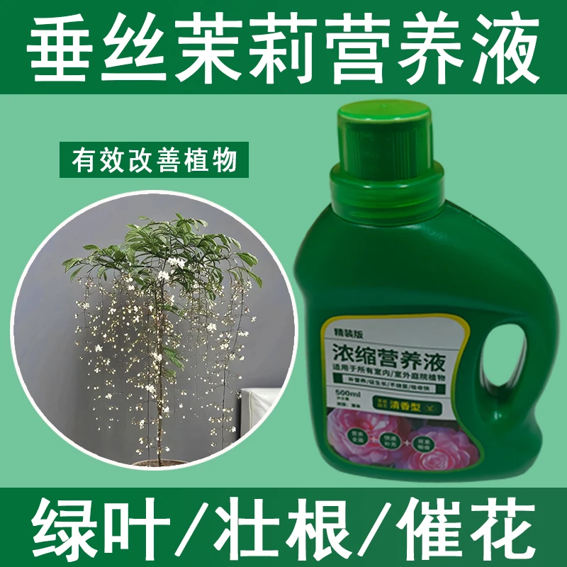 垂丝茉莉营养液通用型垂丝茉莉专用营养液花肥绿植水培植物肥料
