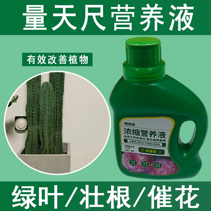 量天尺营养液通用型量天尺专用营养液花肥绿植水培植物肥料治黄叶