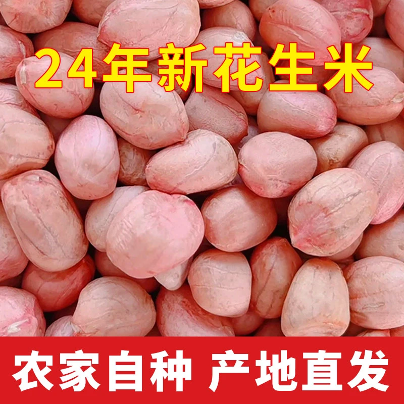 2024年新上市花生饱满大颗粒花生米200g/3斤/5斤新鲜农产品