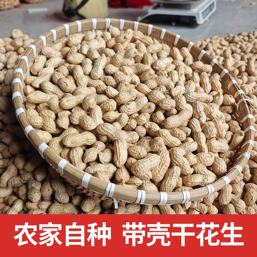2024新鲜带壳干花生农家自种大颗粒3斤5斤装