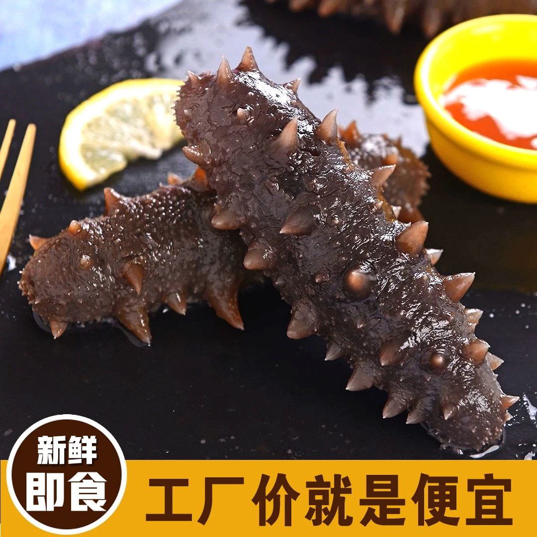 【特价】7-9头即食海参500g深海刺参新滕海海参滋补营养