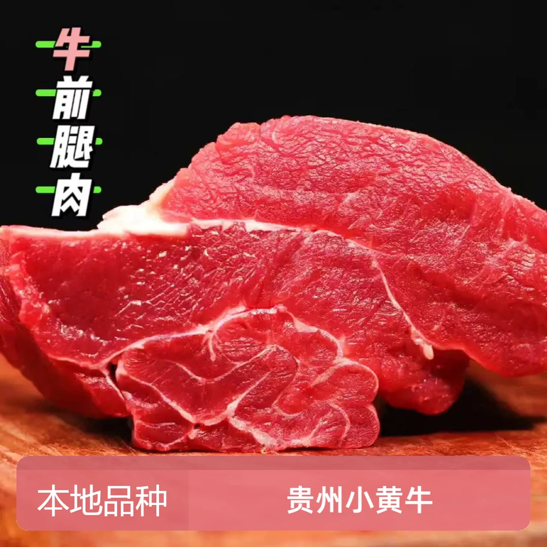 贵州高山散养小黄牛牛前腿