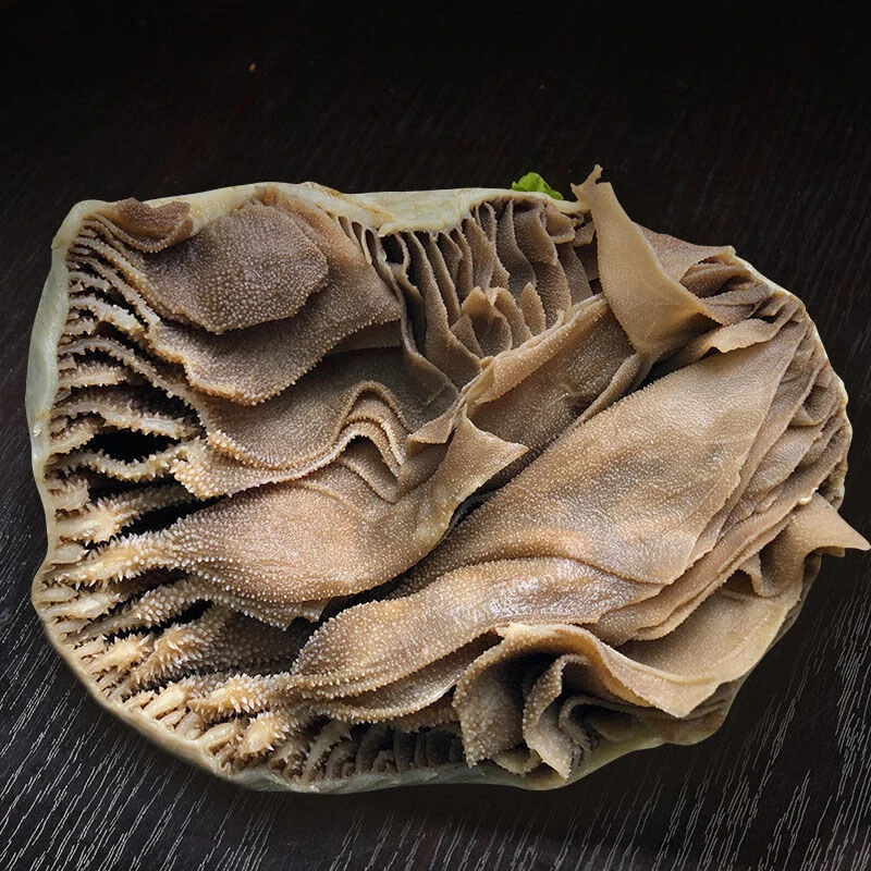 整个黑毛肚净重3斤新鲜火锅串串食材批发商用爽脆