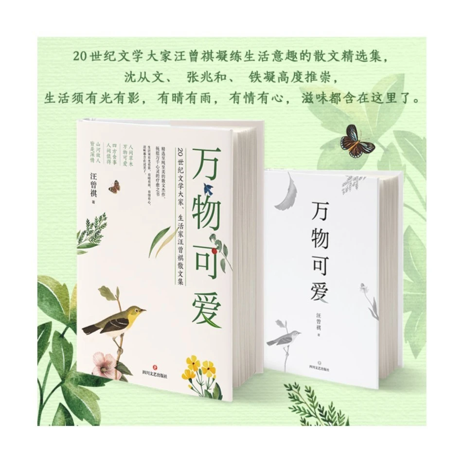 《万物可爱》 20世纪文学大家汪曾祺散文精选