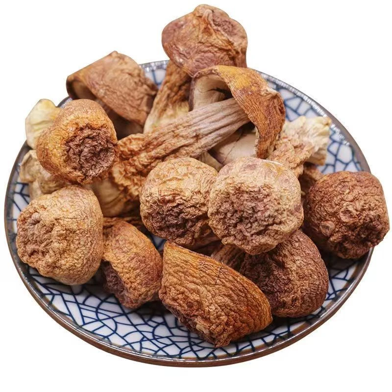 月自明 姬松茸250克100克