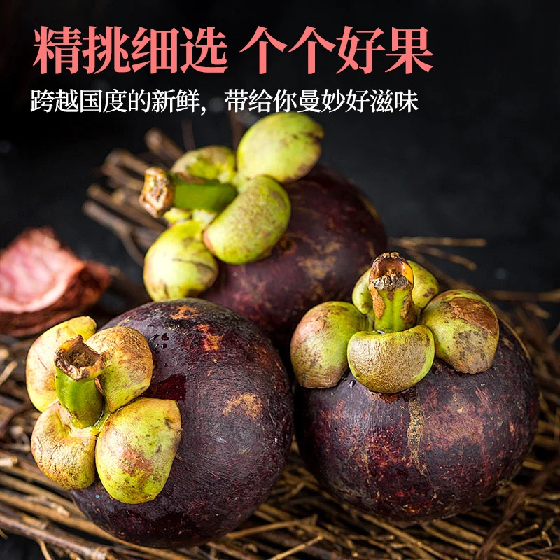 新鲜进口山竹山竹水果当季时令圆润饱满白嫩采摘香甜清甜鲜甜