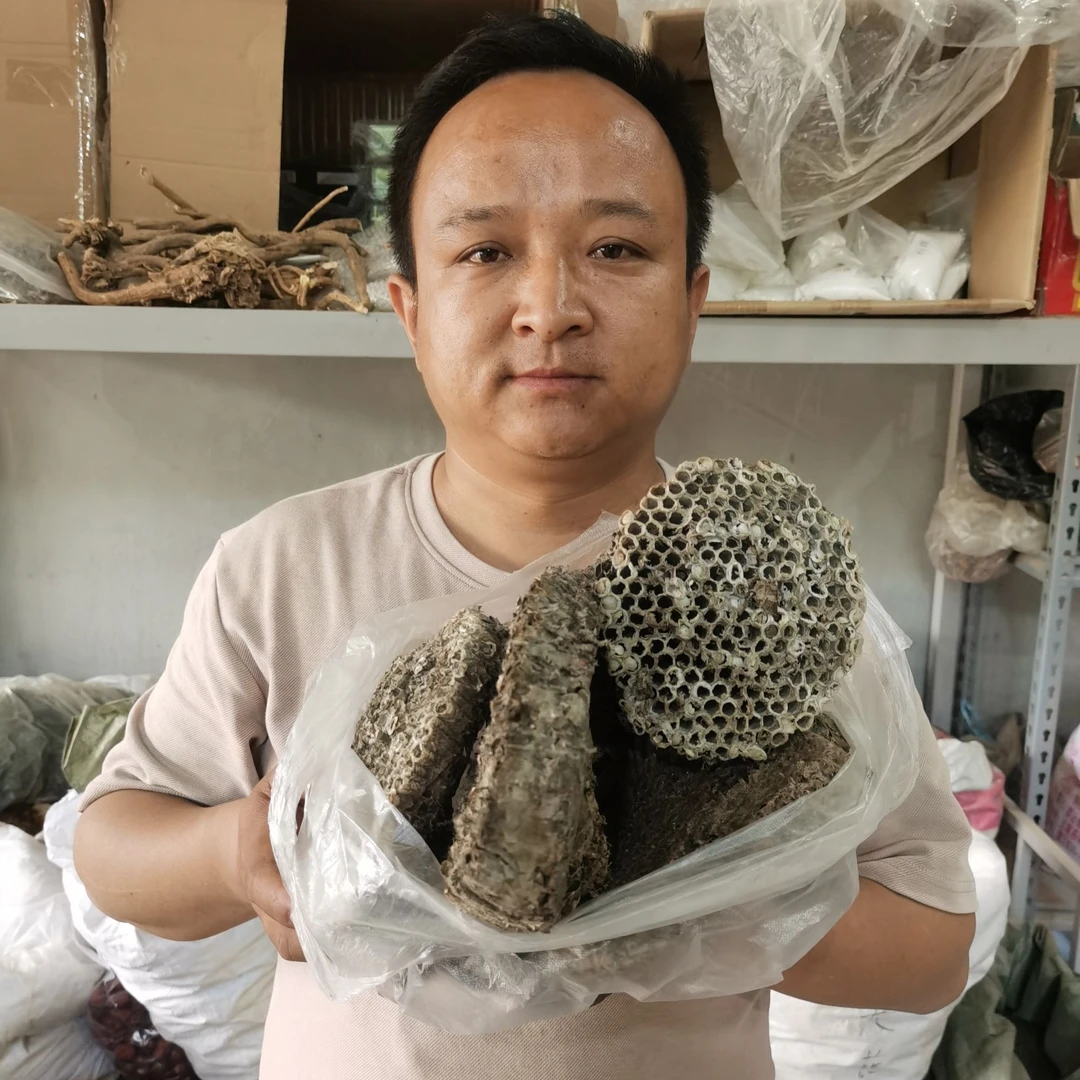露蜂房 甘肃露蜂房 户外采集的大小块都有
