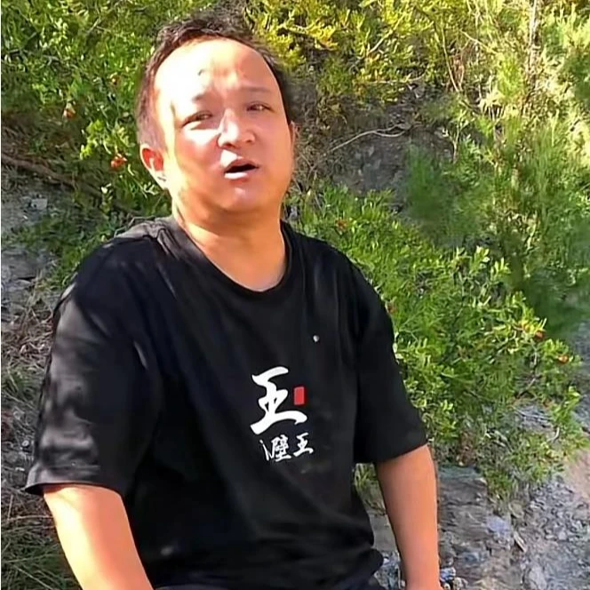 野酸枣 甘肃酸枣 大山里野酸枣砸酸枣仁的酸枣 干酸枣