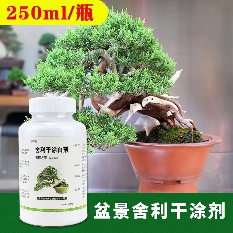 盆景舍利干涂白剂 石硫合剂 舍利干制作专用工具丝雕制作养护涂剂