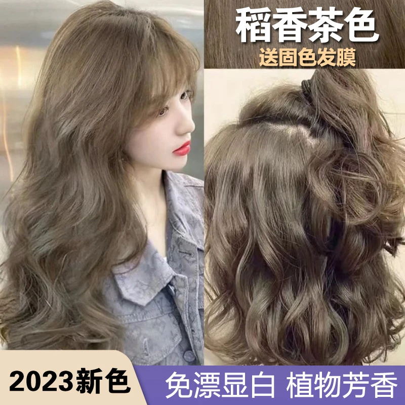 稻香茶色染发剂2023流行色推荐植物显白泡泡沫遮白发染发膏自己染