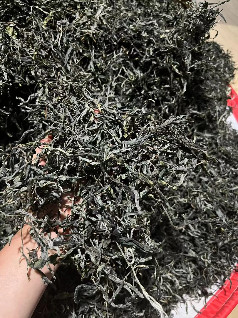 2021年头春冰岛南迫老寨古树  生茶