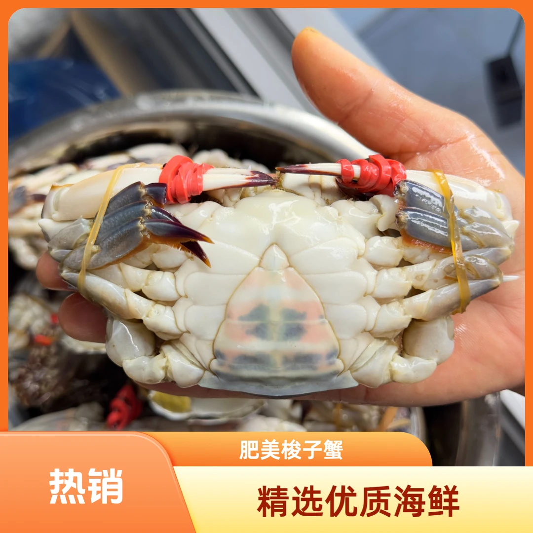 马甄水产 只能生吃的秘制咸蟹子