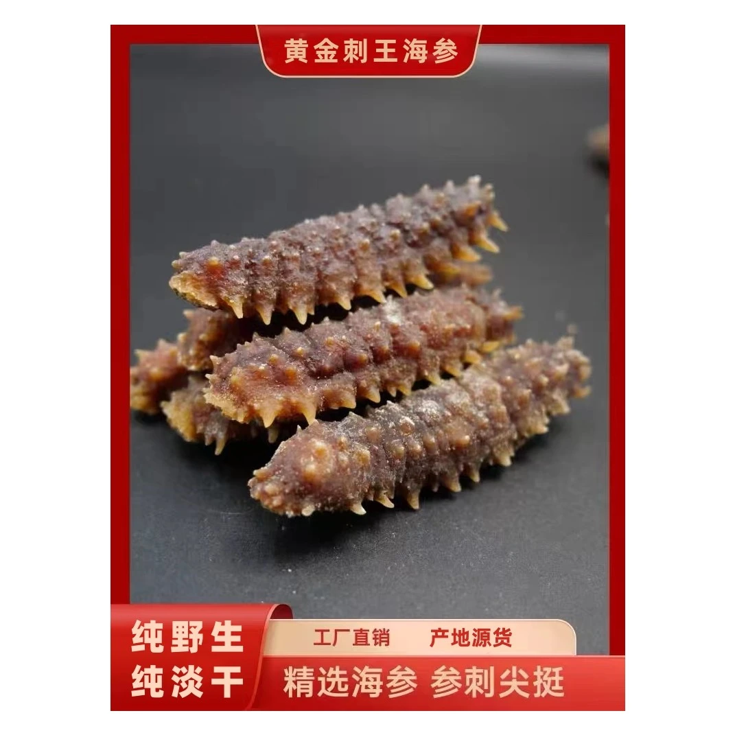 【品相欠佳】高品质黄金刺皇海参纯淡干高泡发工厂直销产地源货甄选