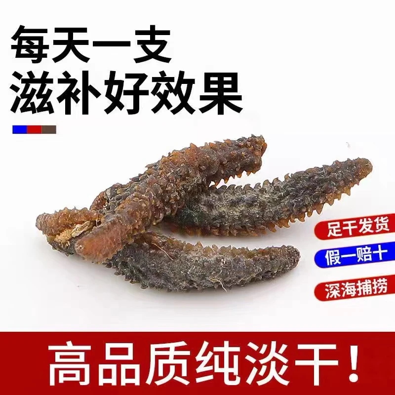 【野生】甄选白刺参纯淡干海参干货纯天然无添加高品质小白刺参