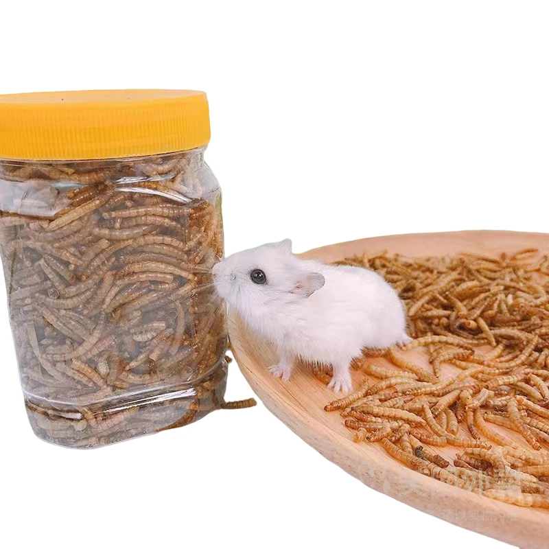 仓鼠饲料 黄粉虫干面包虫干100g
