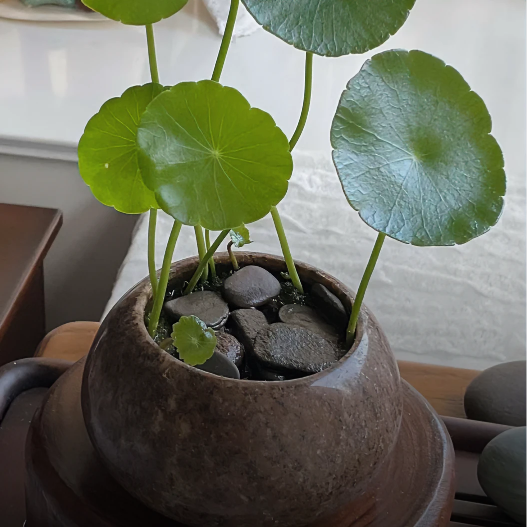 天然原石花盆花瓶花瓶创意手工