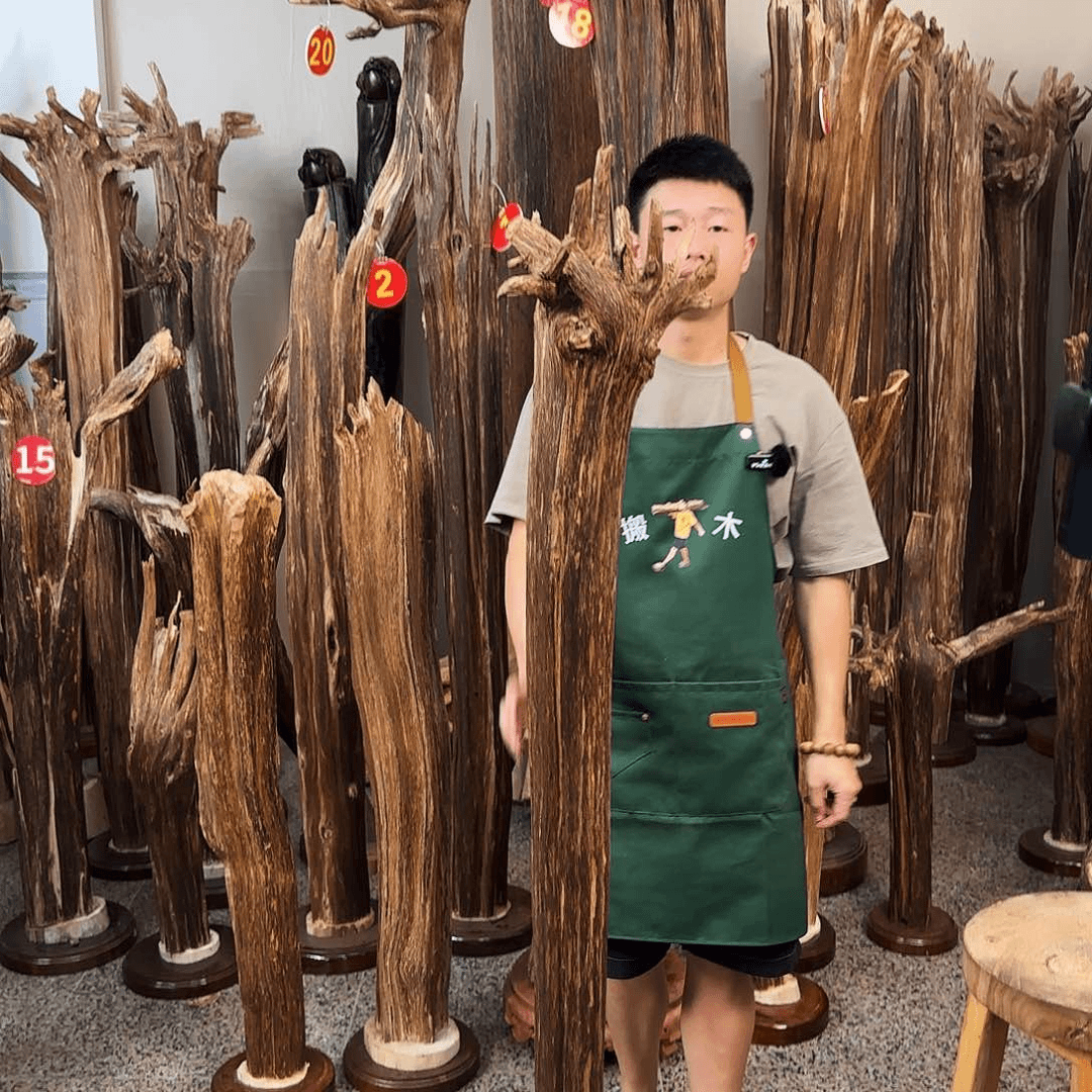 沉香原料工艺品摆件➕底座